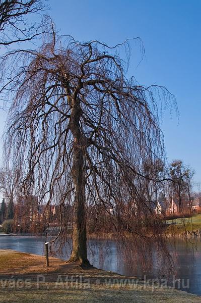 Eisenstadt 0002.jpg